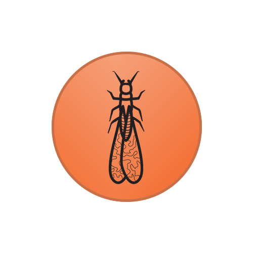 Bug Free Pest Control Services